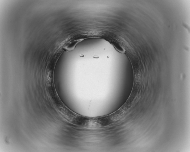 X0000093360264200710251138
