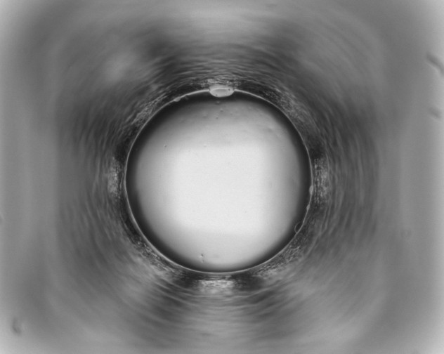 X0000093360266200710251138