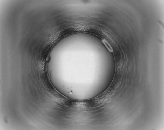 X0000093360268200710251138