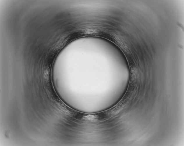 X0000093360269200710251138