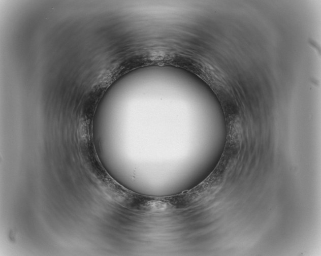 X0000093360272200710251138