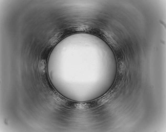 X0000093360273200710251138