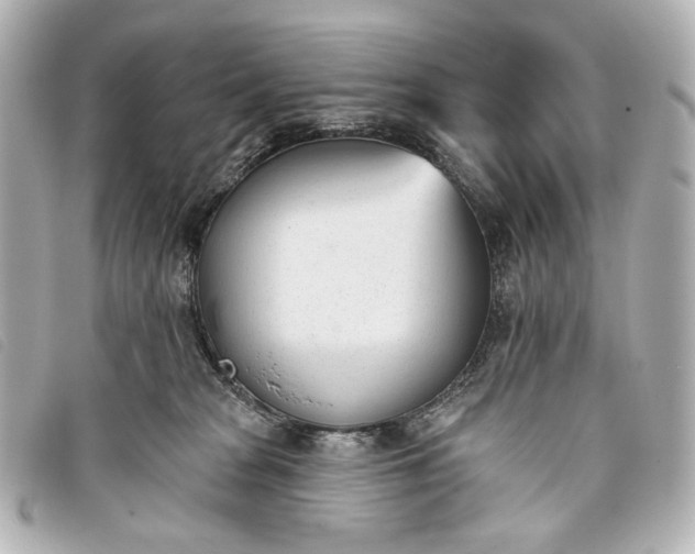 X0000093360277200710251138