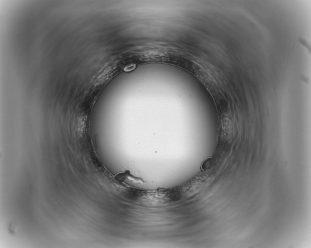 X0000093360278200710251138
