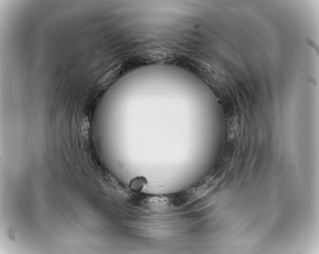 X0000093360279200710251138