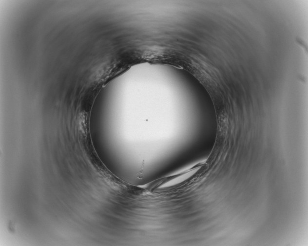 X0000093360280200710251138