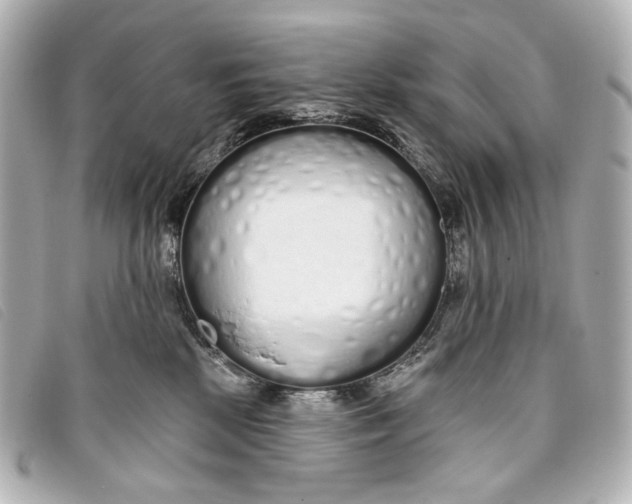 X0000093360281200710251138