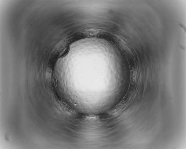 X0000093360283200710251138