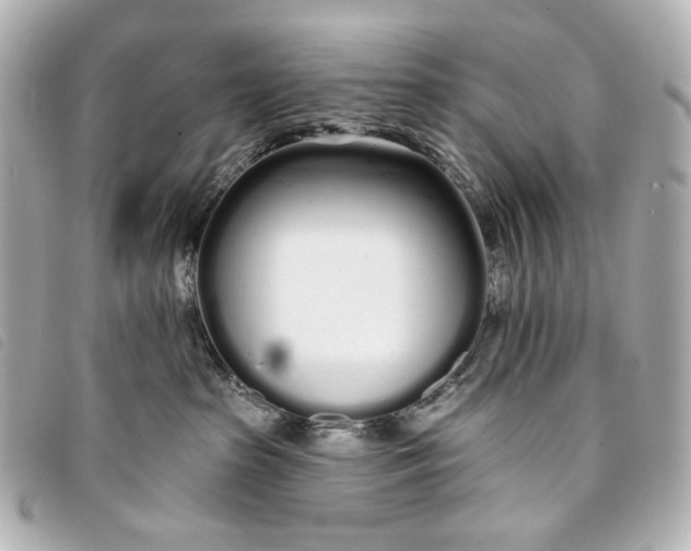 X0000093360285200710251138