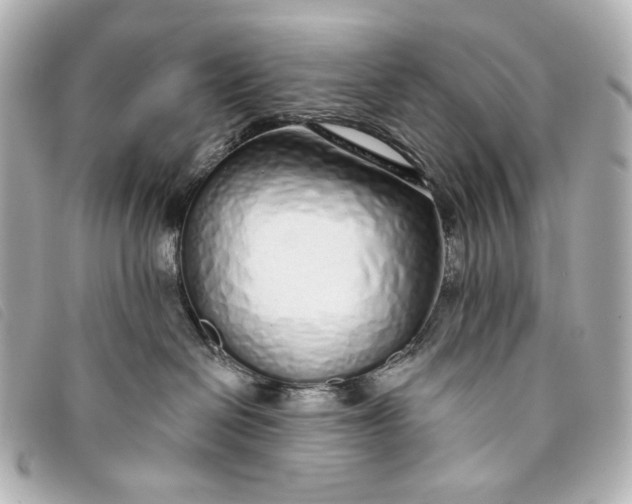 X0000093360286200710251138