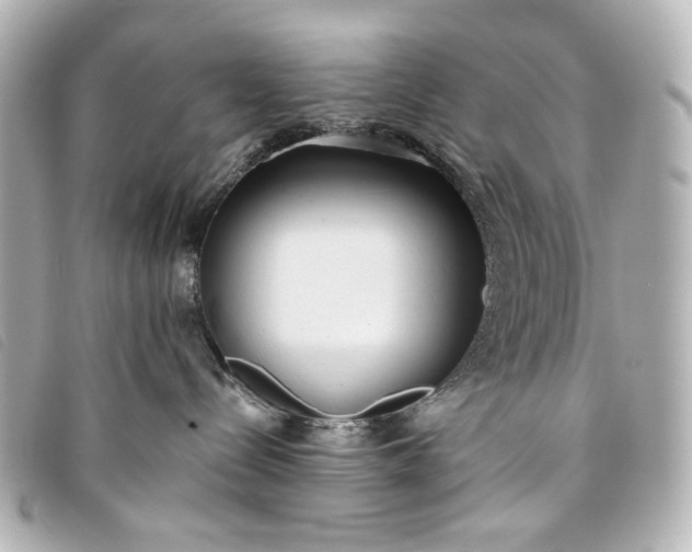 X0000093360288200710251138