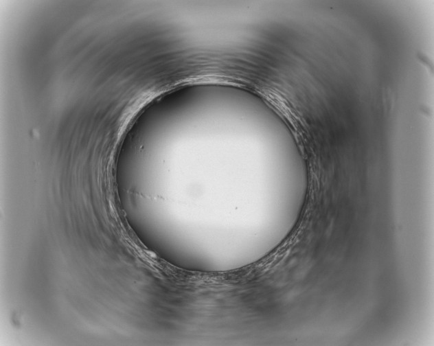 X0000093360289200710251138