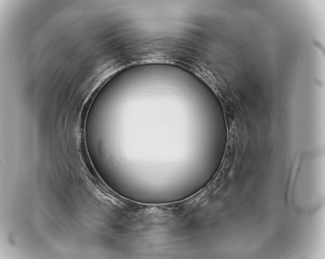 X0000093360290200710251138