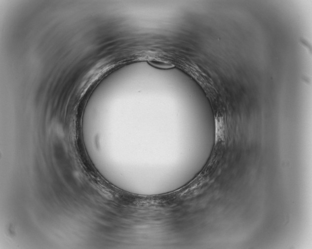 X0000093360291200710251138