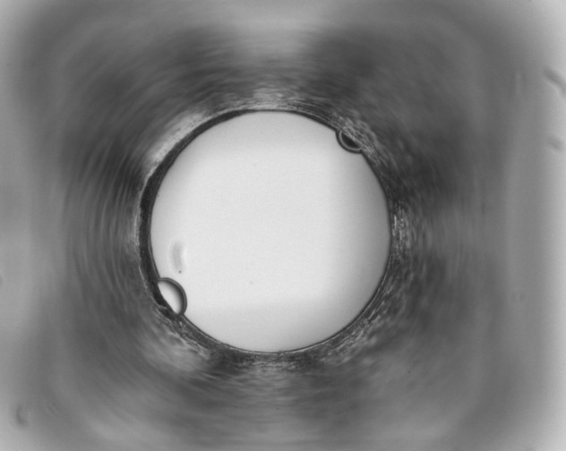 X0000093360292200710251138