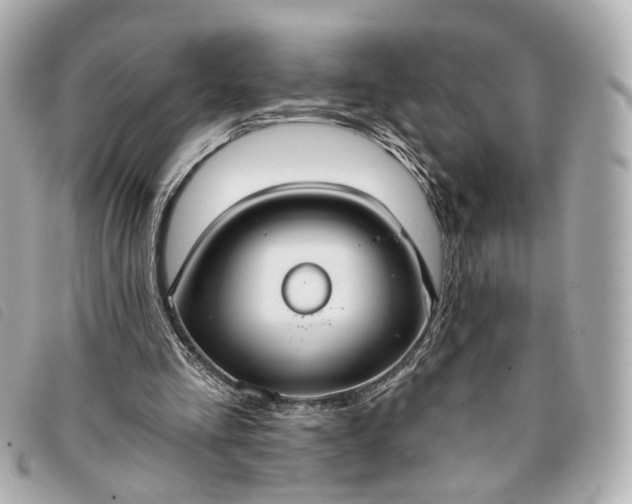 X0000093360293200710251138