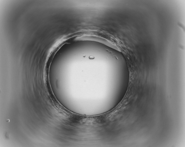 X0000093360294200710251137