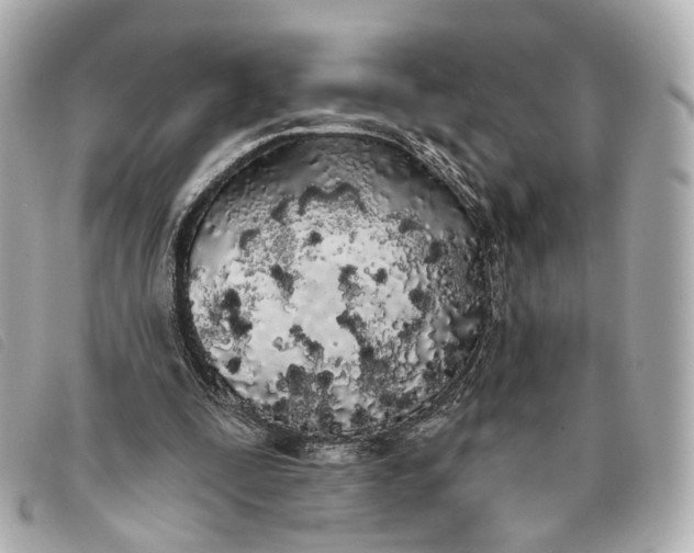 X0000093360295200710251137