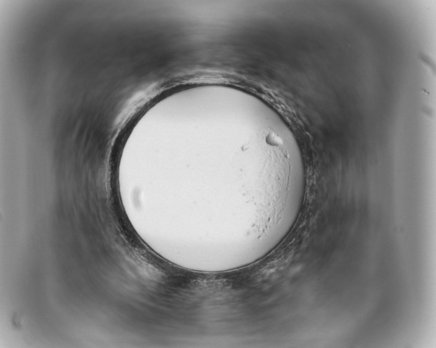 X0000093360296200710251137