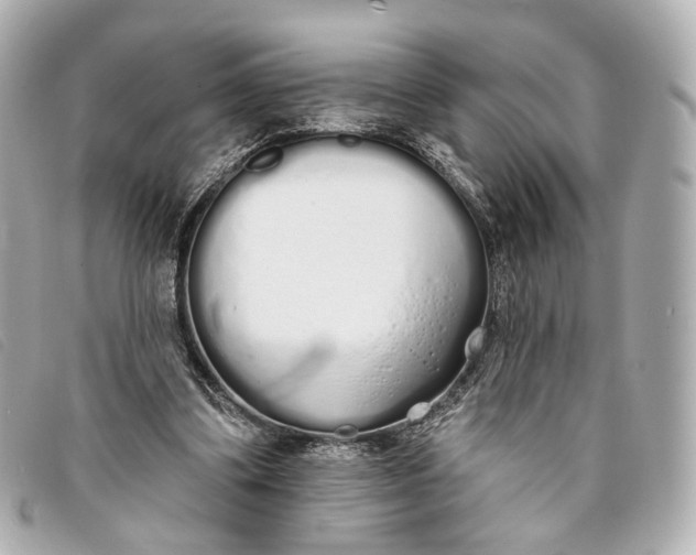 X0000093360299200710251137