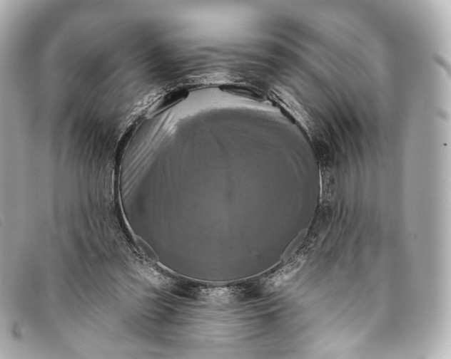 X0000093360301200710251137