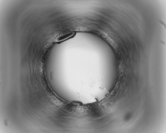 X0000093360305200710251137