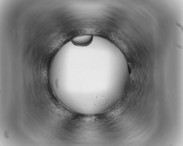X0000093360306200710251137