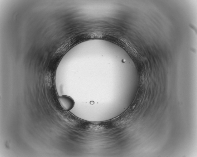 X0000093360311200710251137