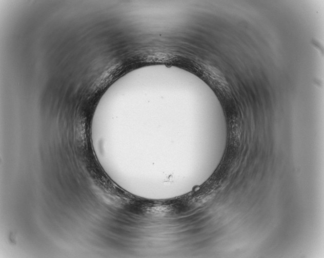 X0000093360312200710251137