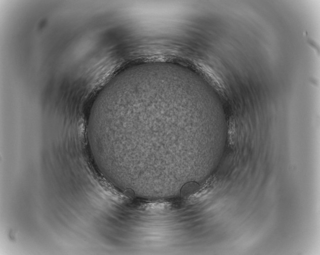 X0000093360314200710251137