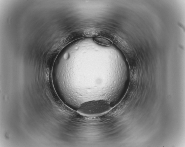 X0000093360315200710251137