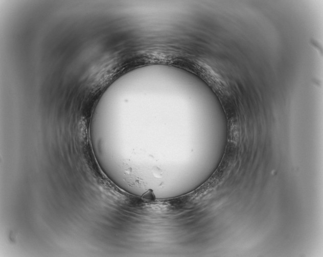 X0000093360318200710251137