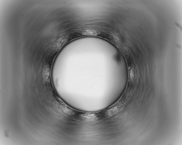 X0000093360322200710251137