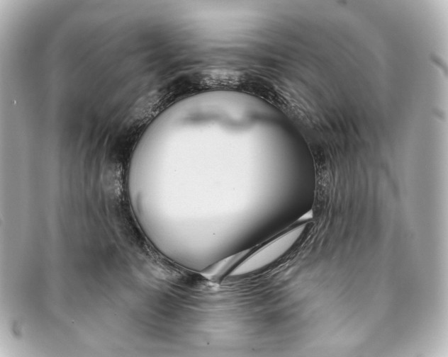 X0000093360323200710251137