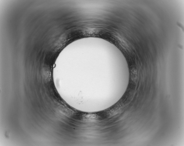 X0000093360324200710251137