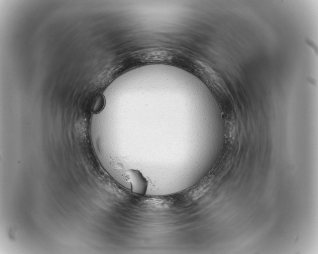 X0000093360326200710251137