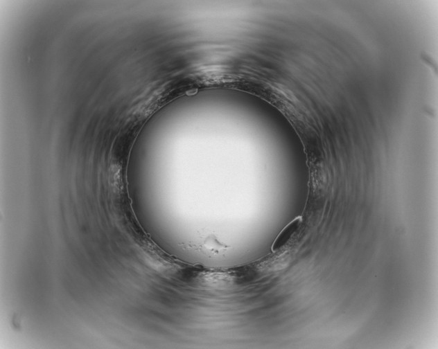 X0000093360327200710251137