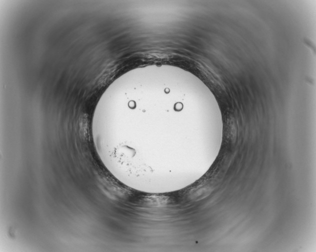 X0000093360328200710251137