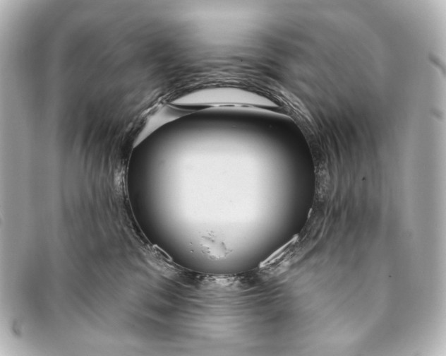 X0000093360329200710251137