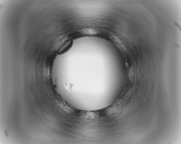 X0000093360330200710251137