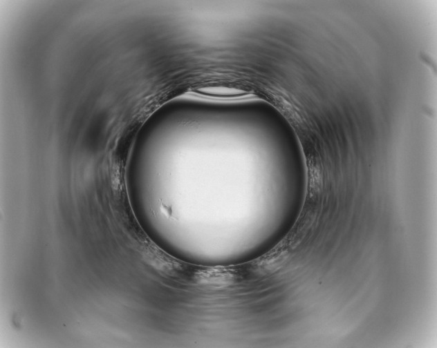 X0000093360331200710251137