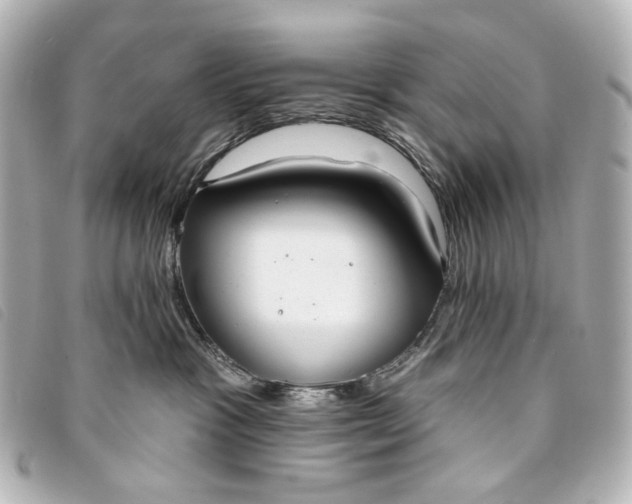 X0000093360333200710251137