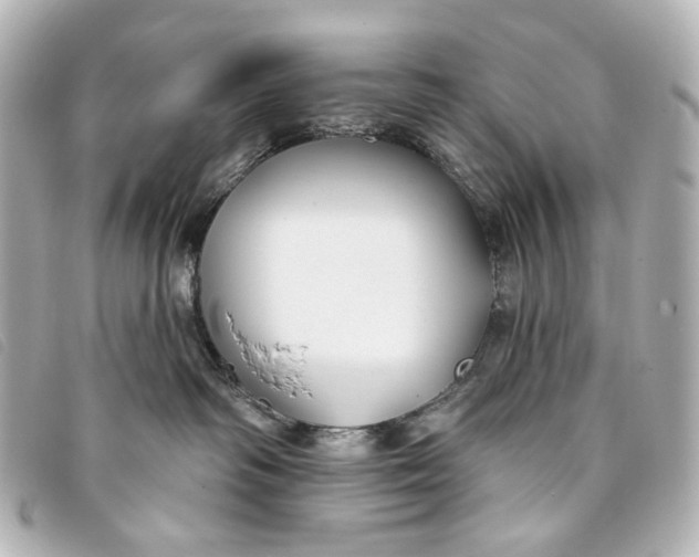 X0000093360334200710251137