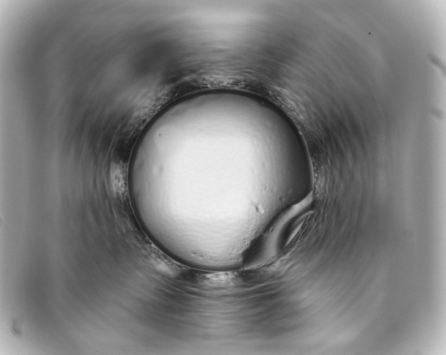X0000093360335200710251137