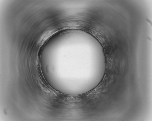 X0000093360338200710251136