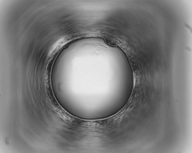 X0000093360339200710251136