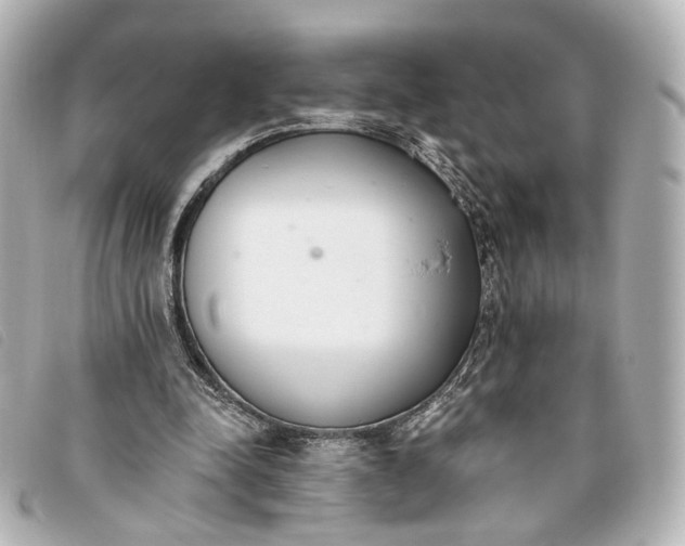 X0000093360342200710251136