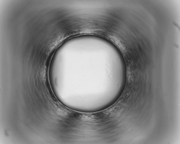X0000093360346200710251136