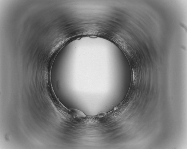 X0000093360348200710251136