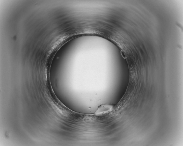 X0000093360350200710251136